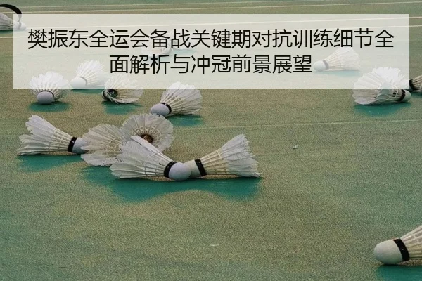 樊振东全运会备战关键期对抗训练细节全面解析与冲冠前景展望（LeBoSports）