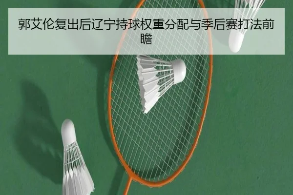 郭艾伦复出后辽宁持球权重分配与季后赛打法前瞻（LeBoSports）